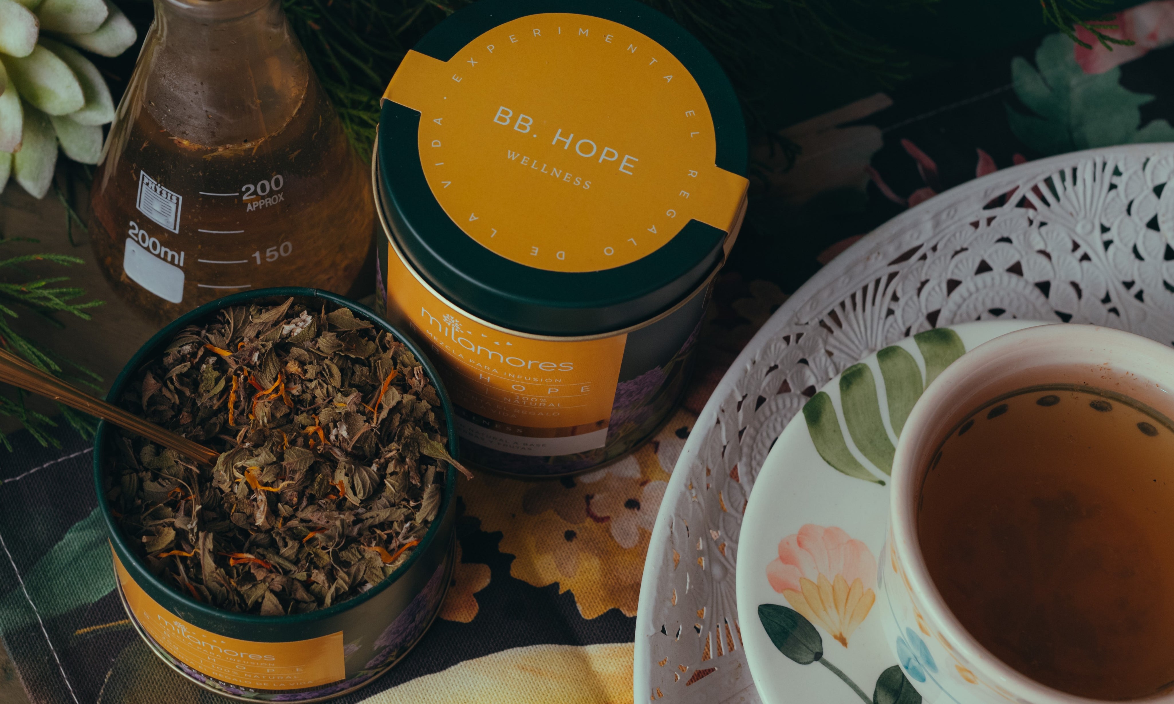 Cinco diferencias entre la infusión BabyHope y MoonDays