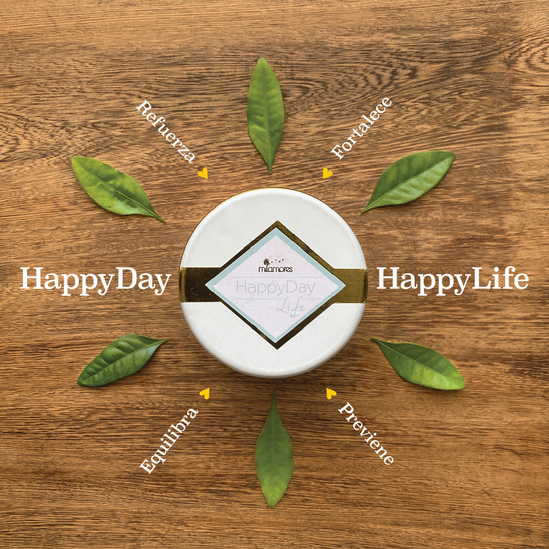 Como sanar la depresión con milamores