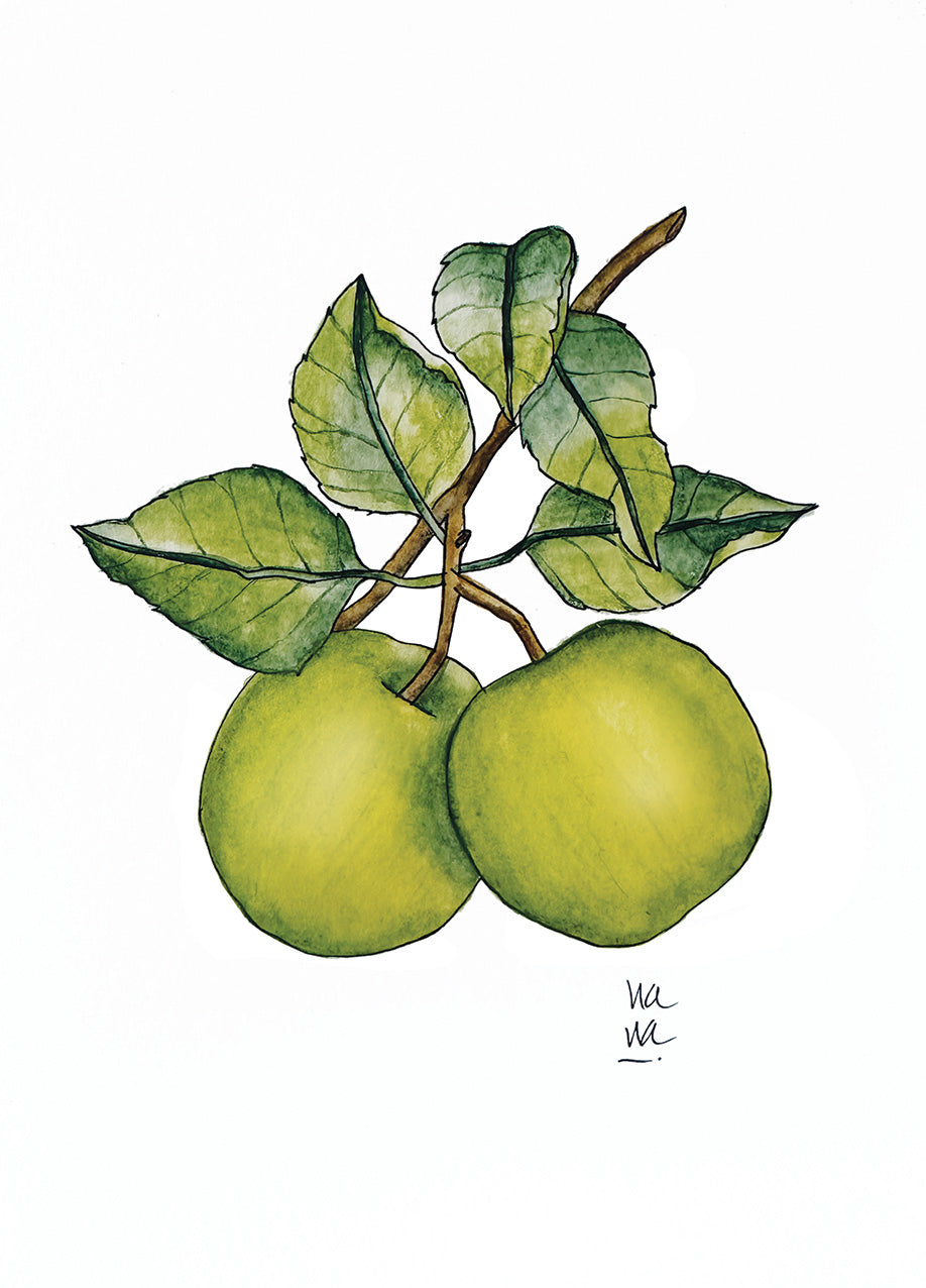 Manzana