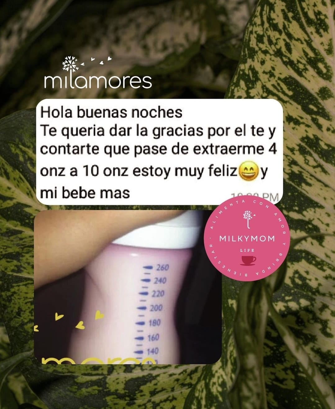 Especial de la infusión MilkyMom de Milamores para la lactancia