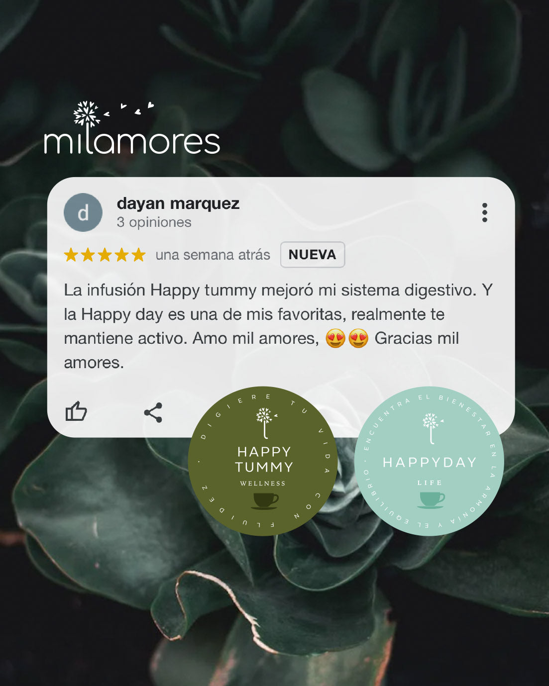 Testimonio_happyday_medicinal_tea.jpg