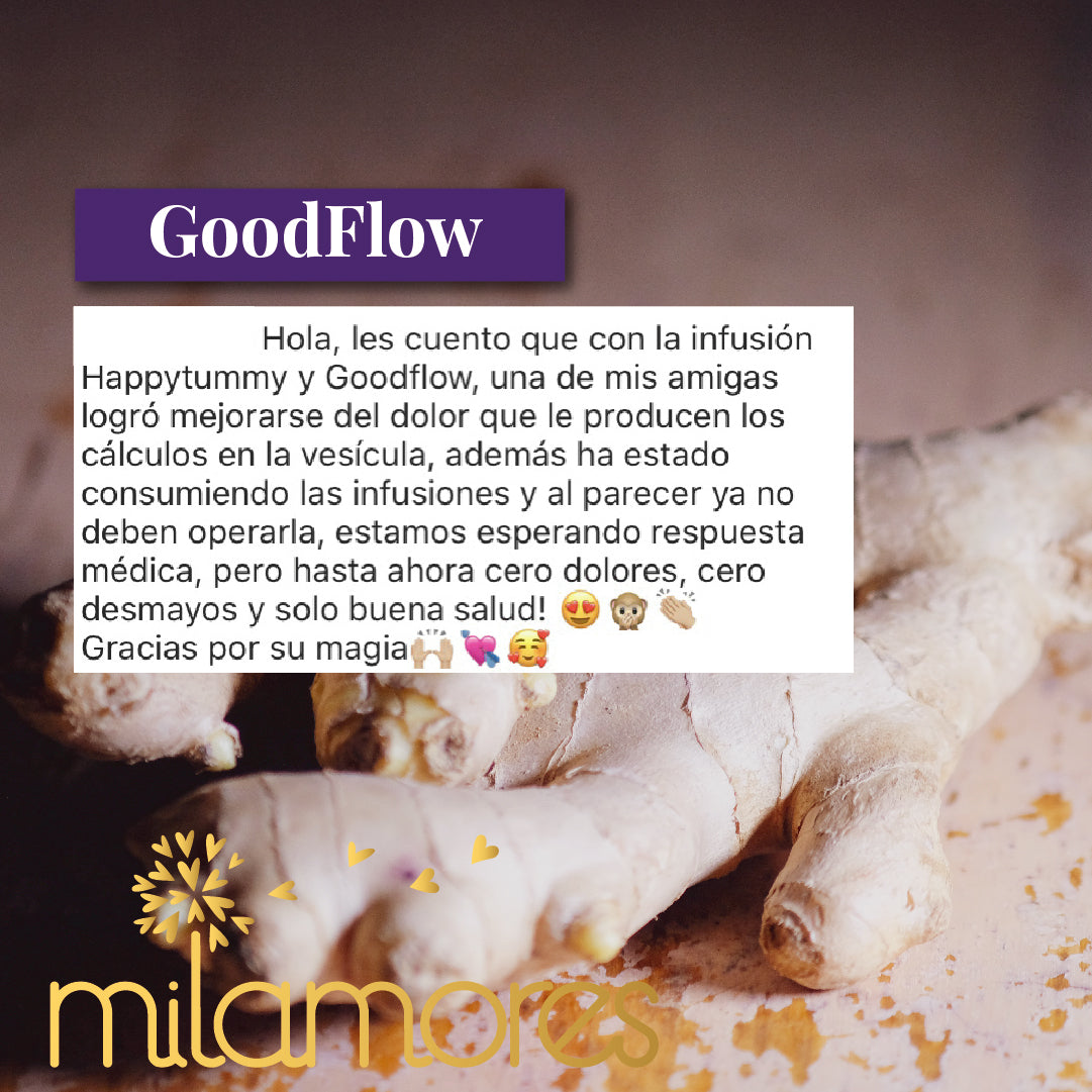 GoodFlow