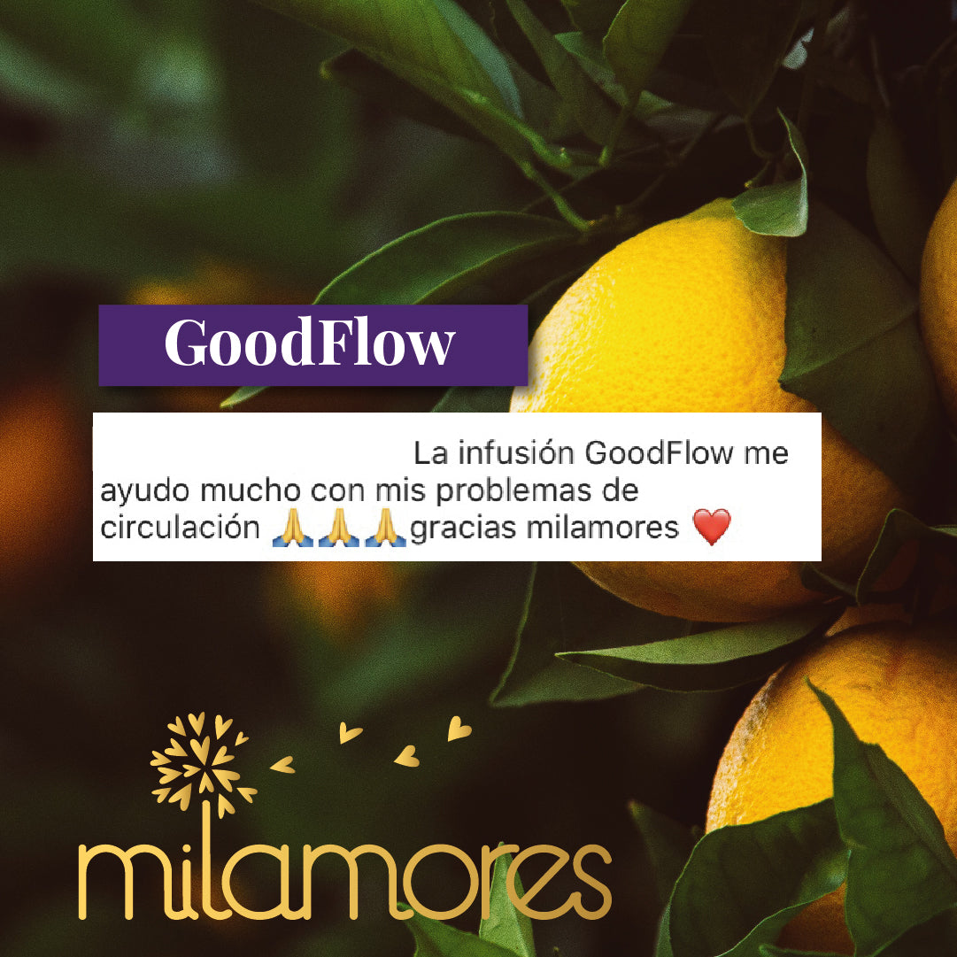GoodFlow