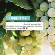HappyDay