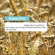 HappyDay