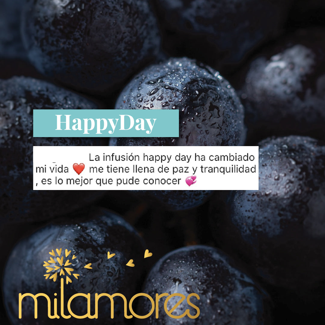 HappyDay