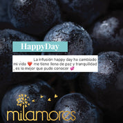 HappyDay