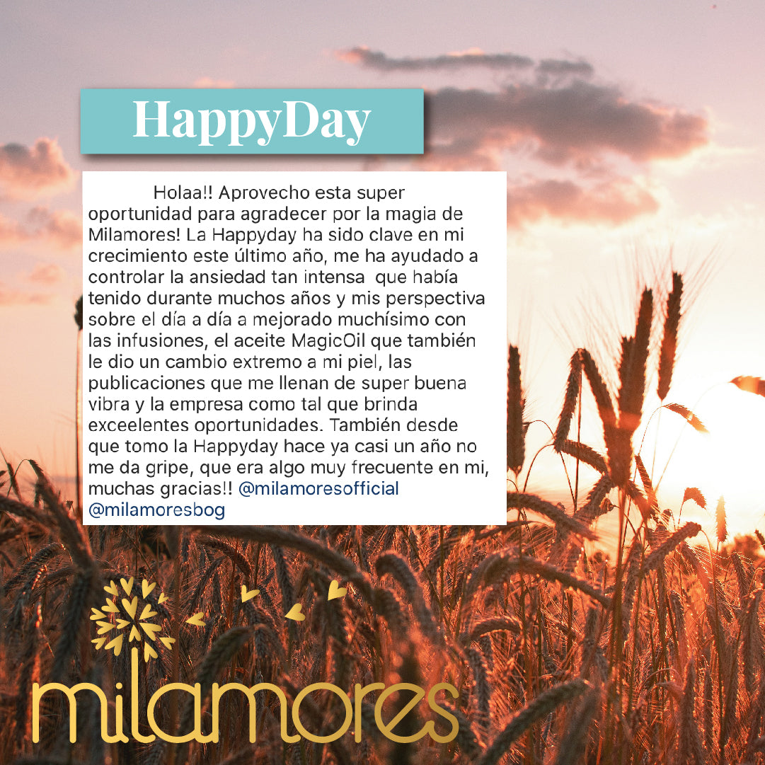 HappyDay