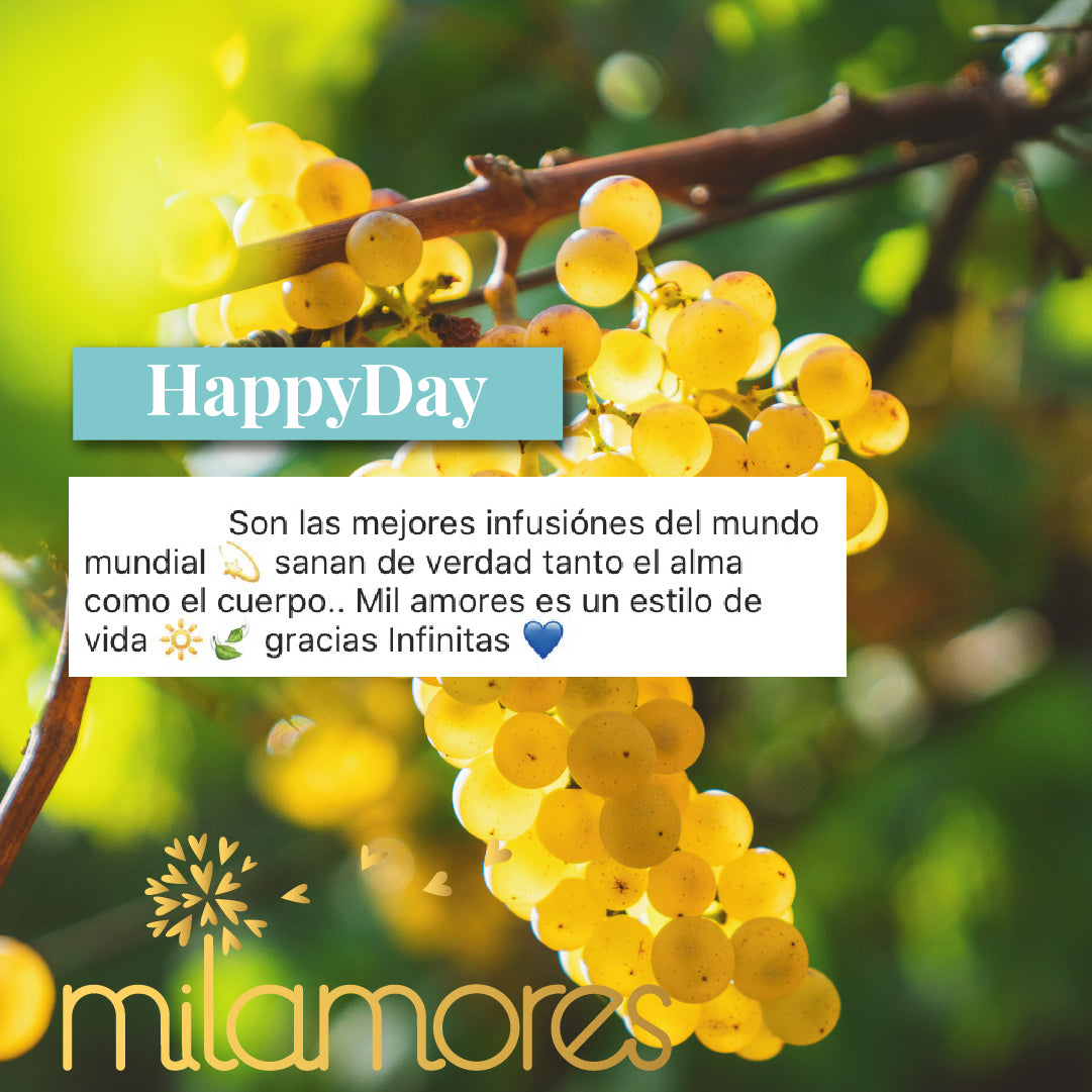 HappyDay