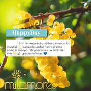 HappyDay