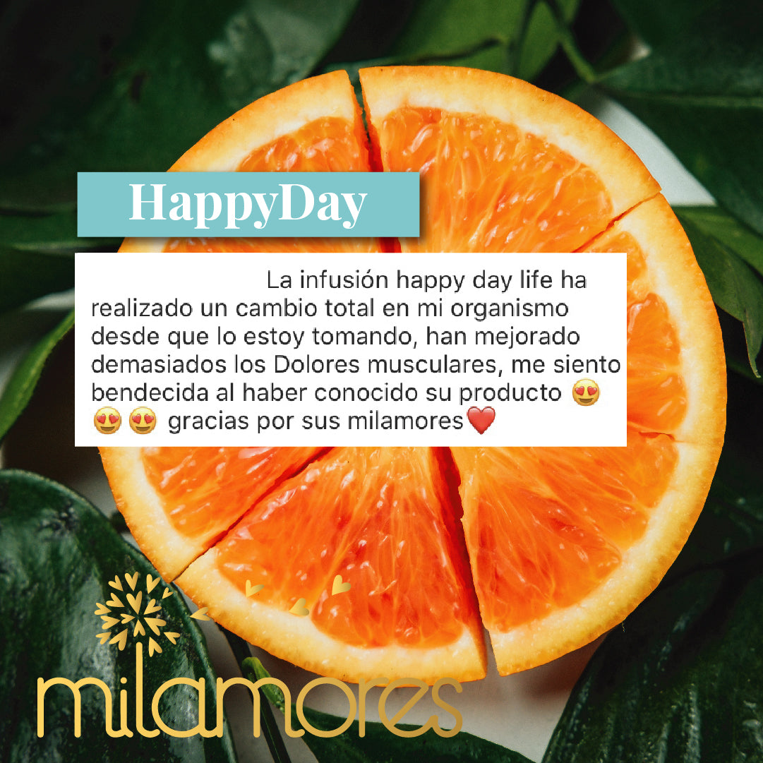 HappyDay
