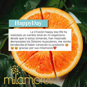 HappyDay