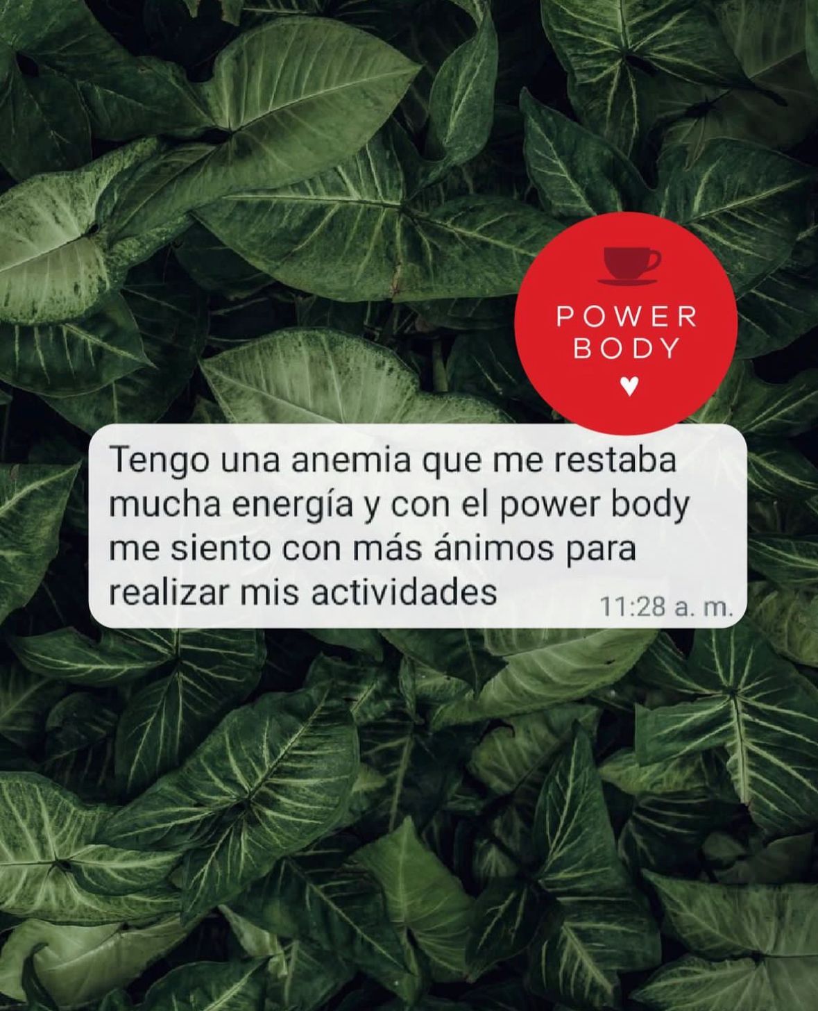 PowerBody