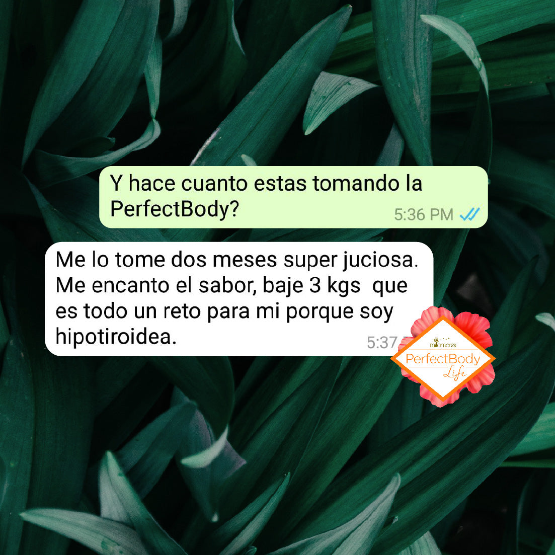 Botiquín para perder peso
