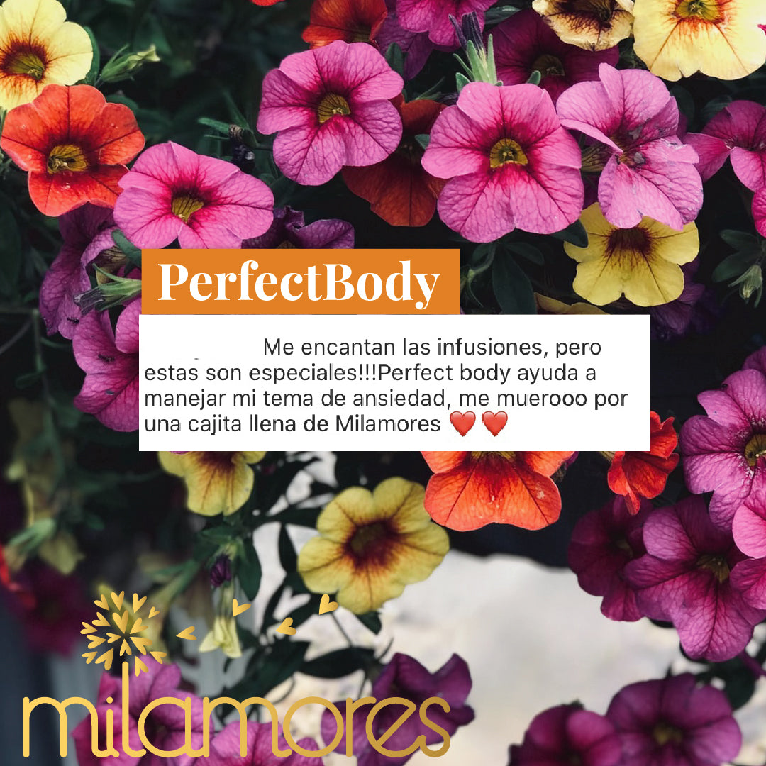 PerfectBody