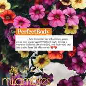 PerfectBody