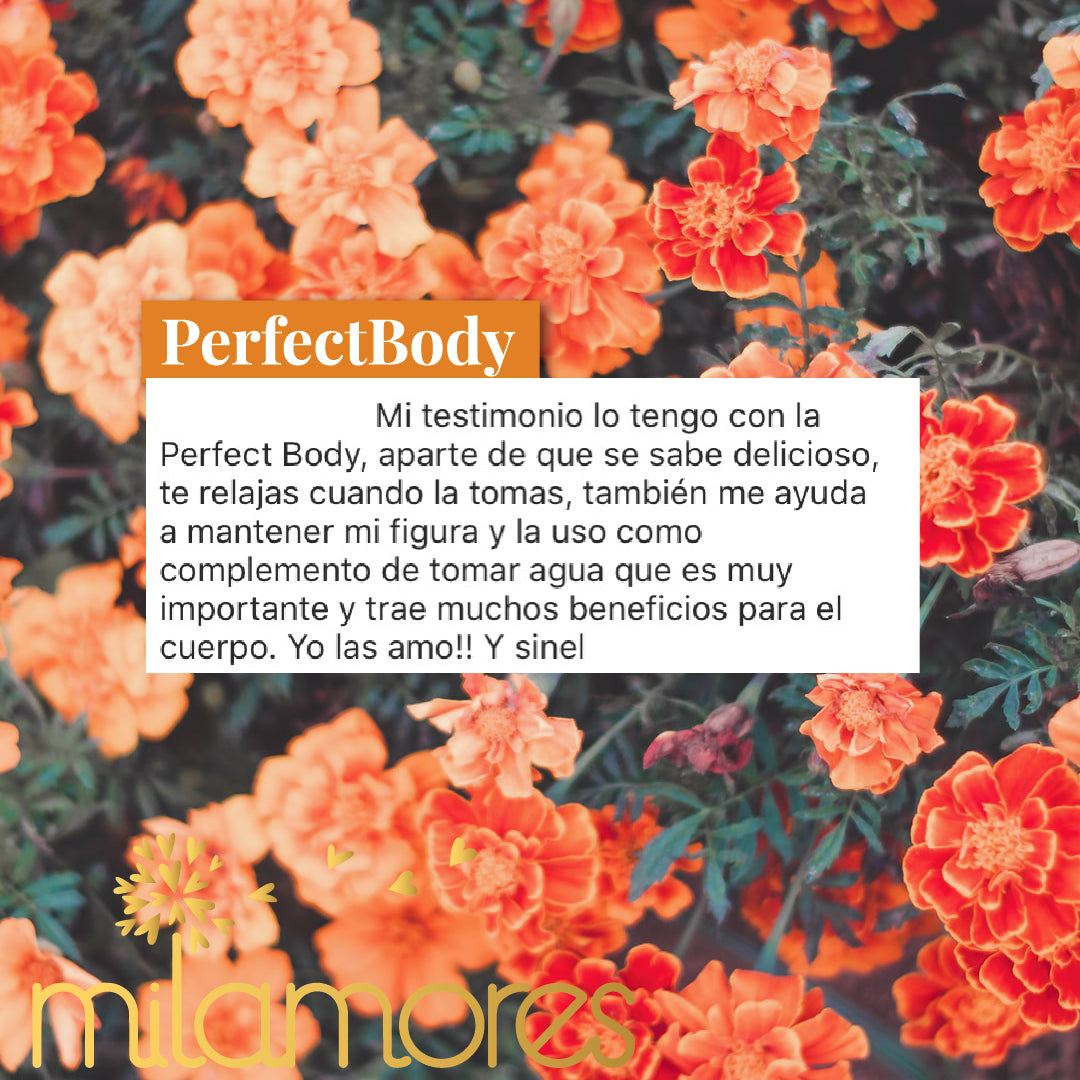 PerfectBody