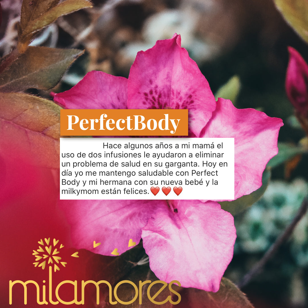 PerfectBody