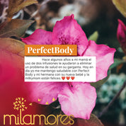 PerfectBody