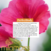 PerfectBody