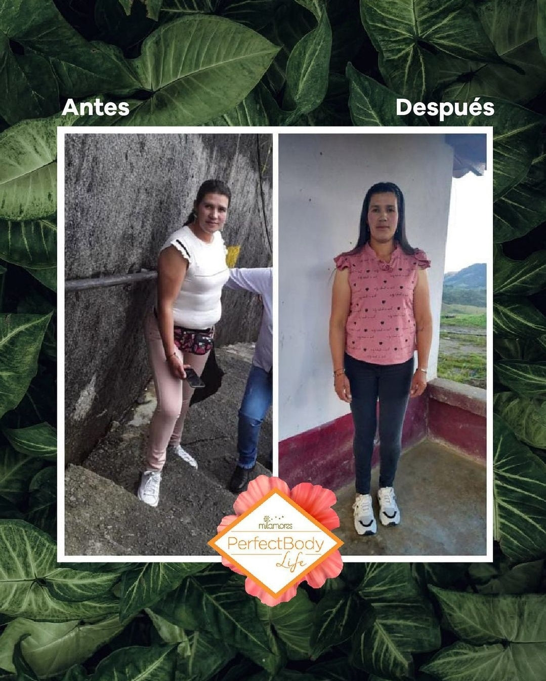 PerfectBody Challenge