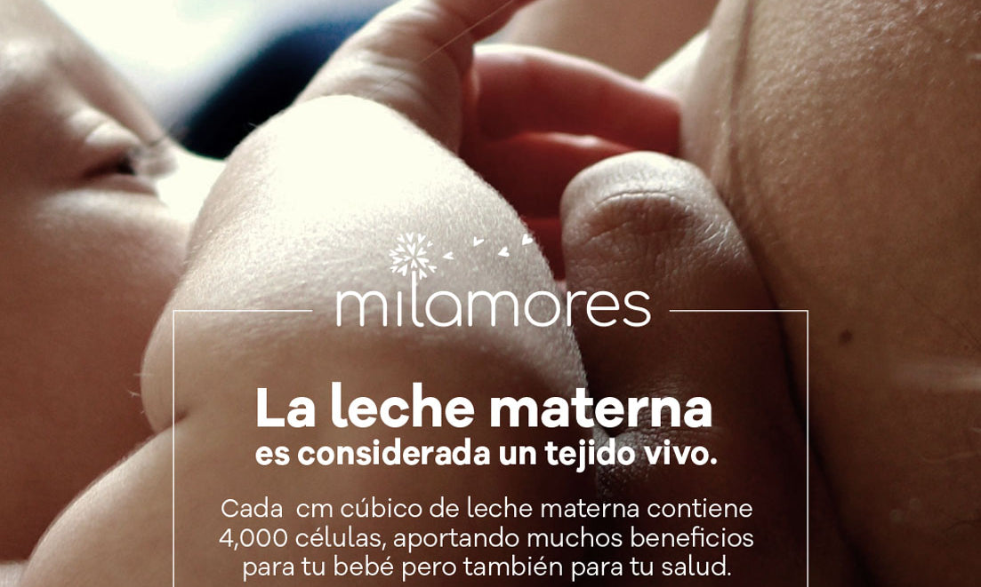 ¿Estoy en embarazo, cuando debo empezar a tomar MilkyMom?