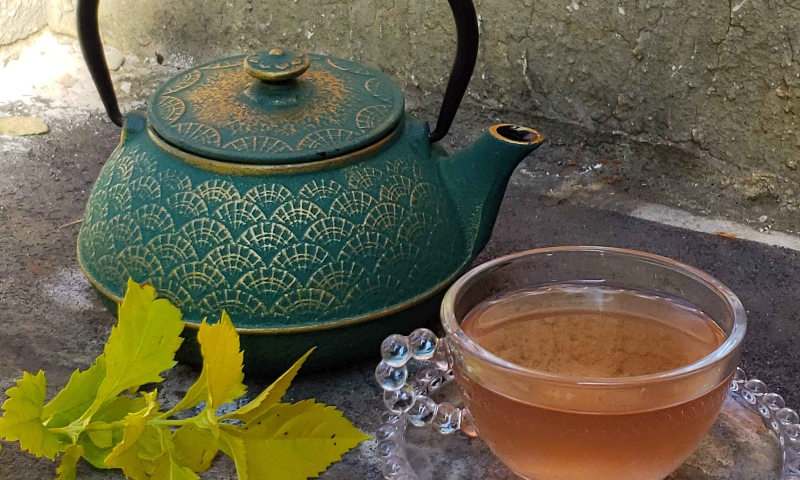 Cómo preparar infusión con tetera