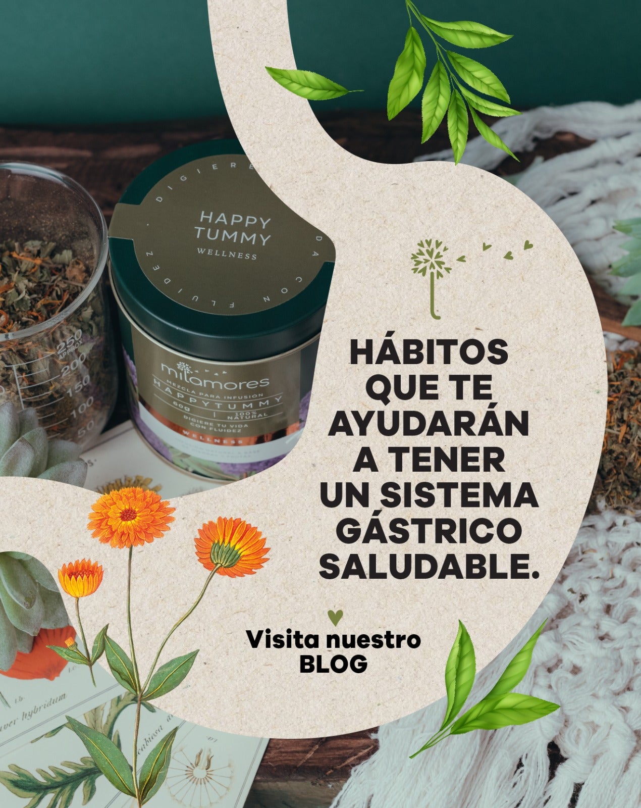 Hábitos que ayudan a tener un sistema gástrico más saludable