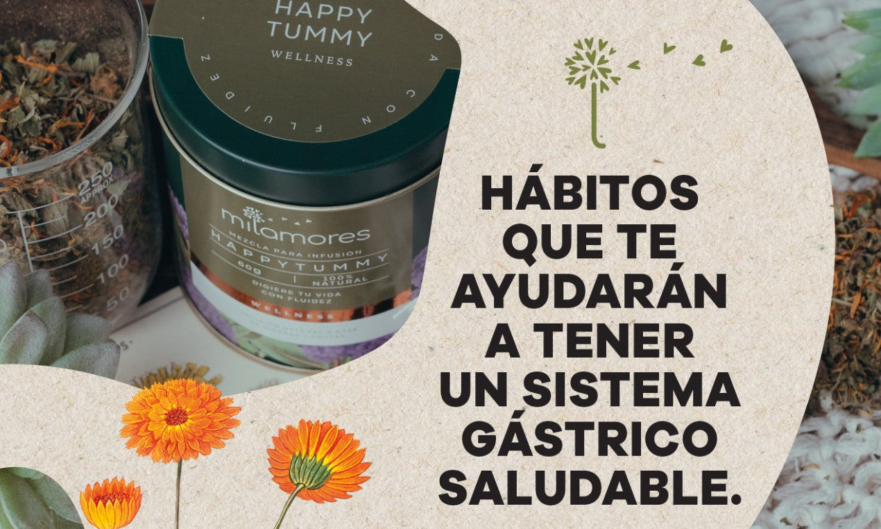 Hábitos que ayudan a tener un sistema gástrico más saludable