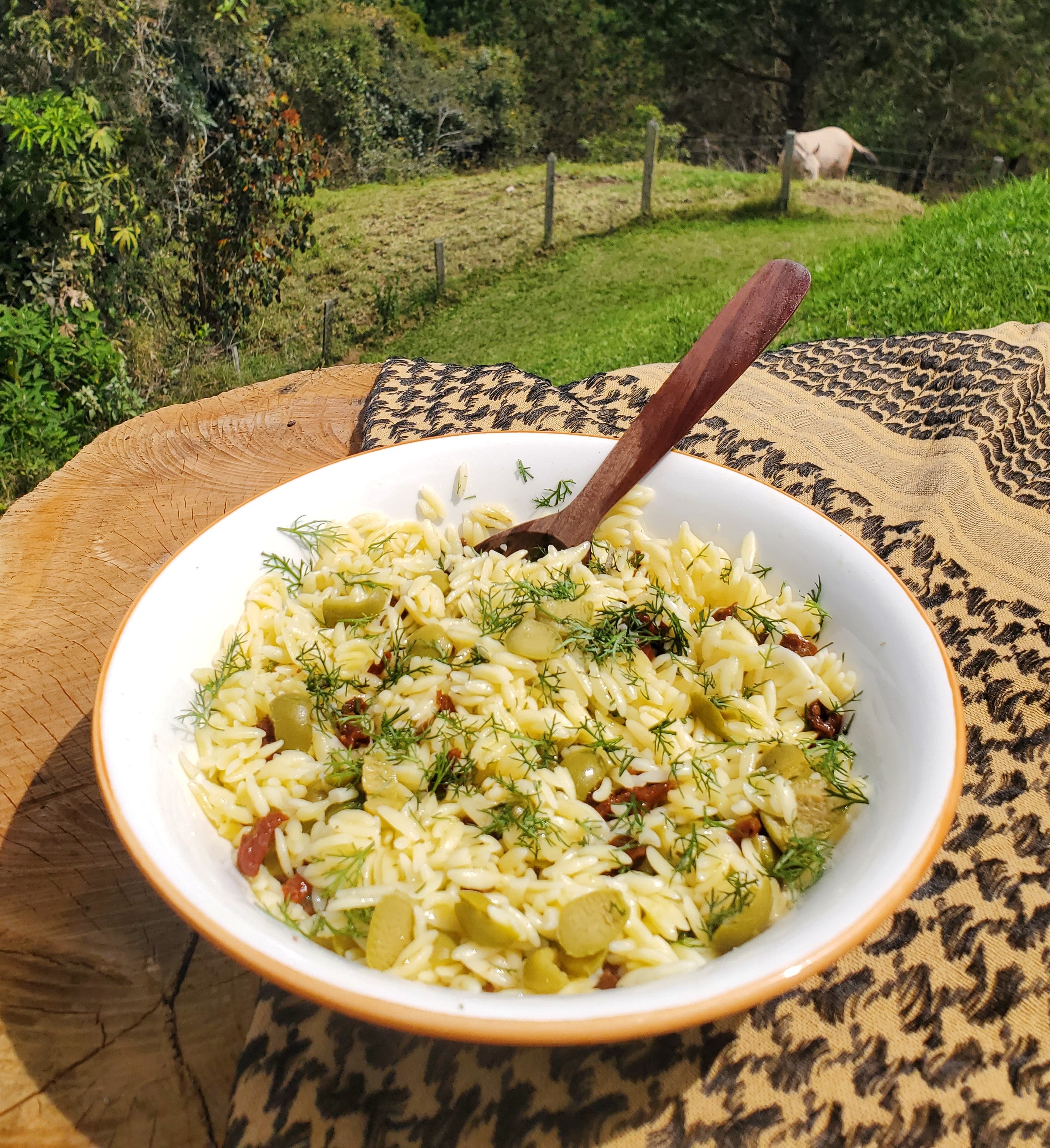 Orzo fresco para verano