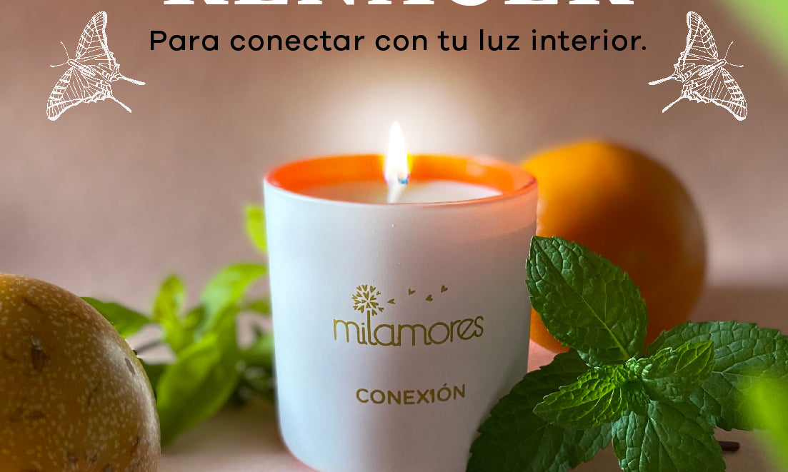Renacer, un taller que cambio mi vida
