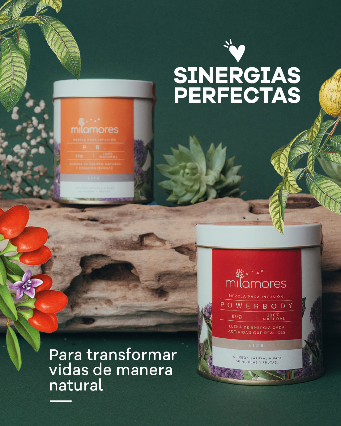 Sinergias Perfectas Milamores