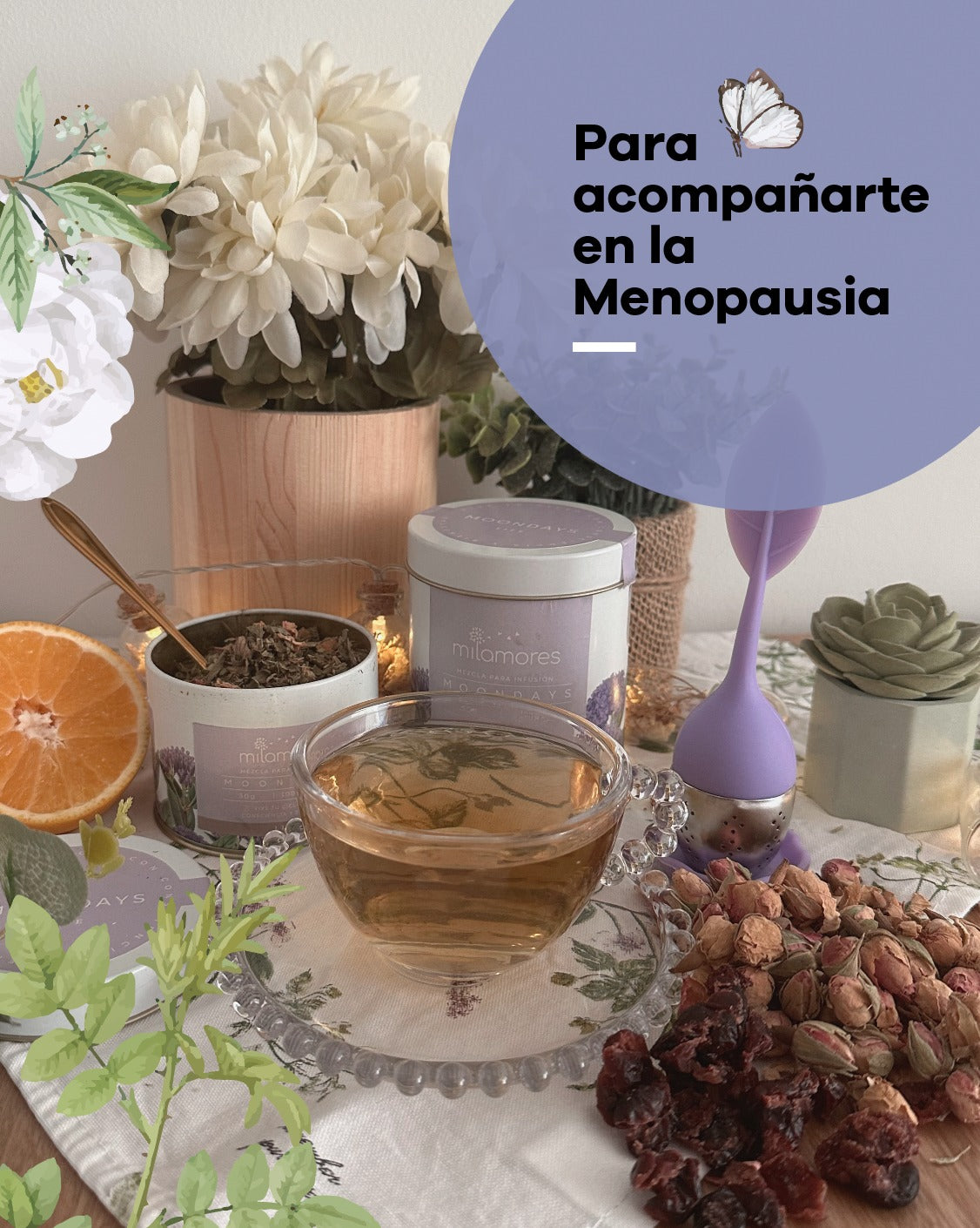 Descubre la Infusión MoonDays de Milamores para Acompañarte en la Menopausia