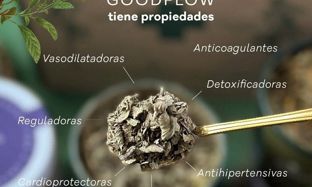 Como manejar el colesterol y  los triglicéridos altos