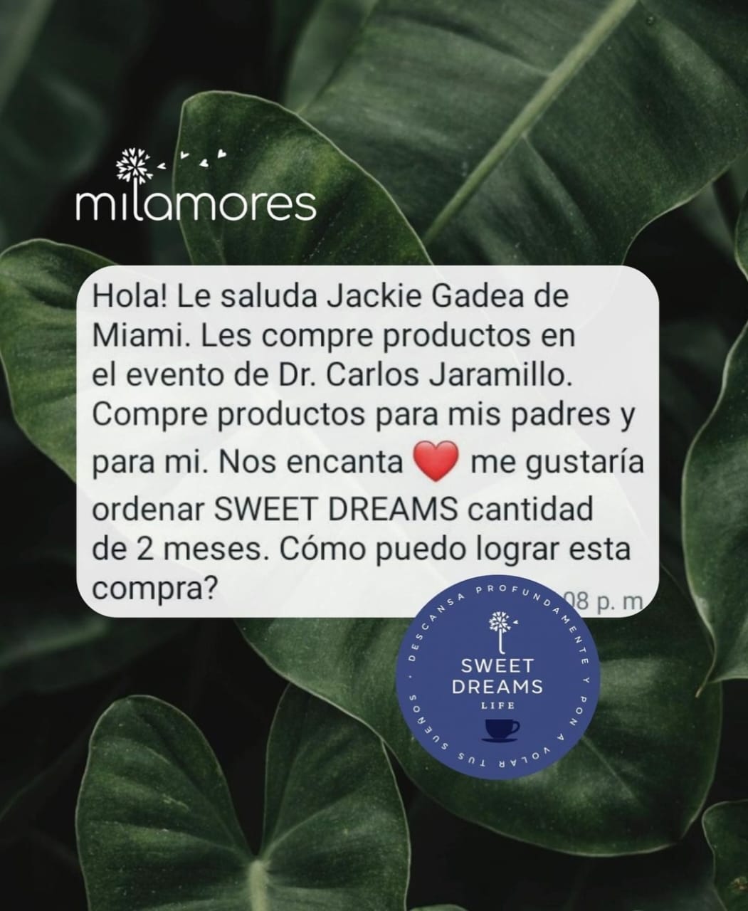 Especial de la infusión SweetDreams