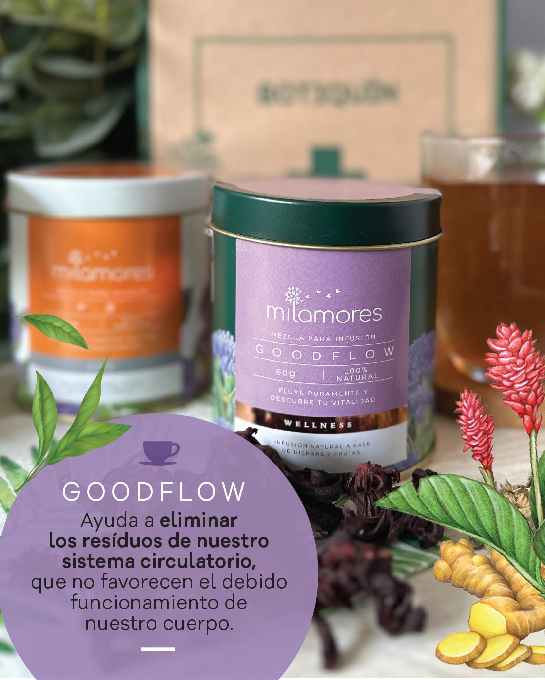 beneficiosdelagoodflowparaelbotiquinpostvacaciones.jpg