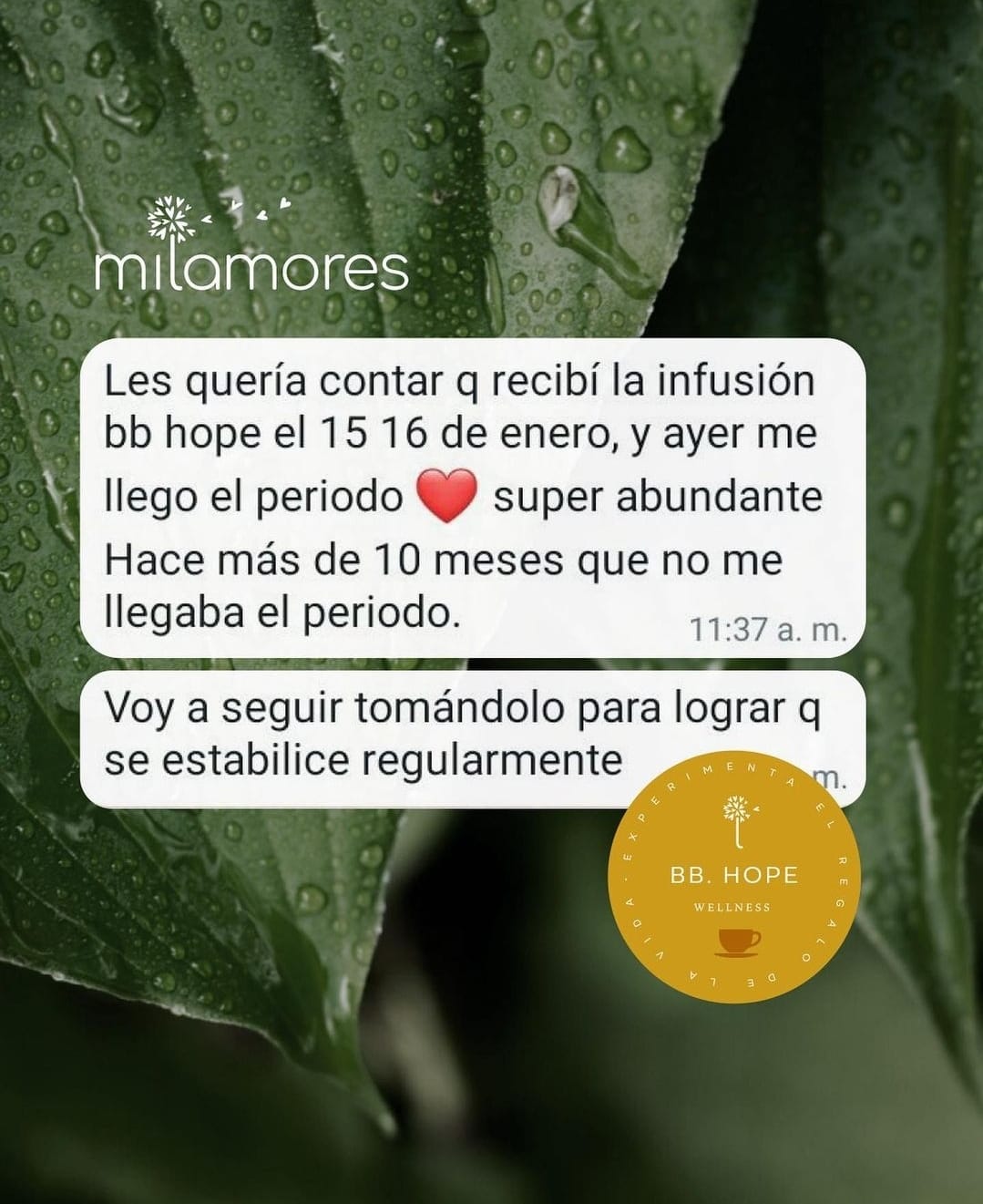 Botiquín Pre-Embarazo perdida de peso