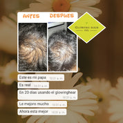 GlowingHair Oil