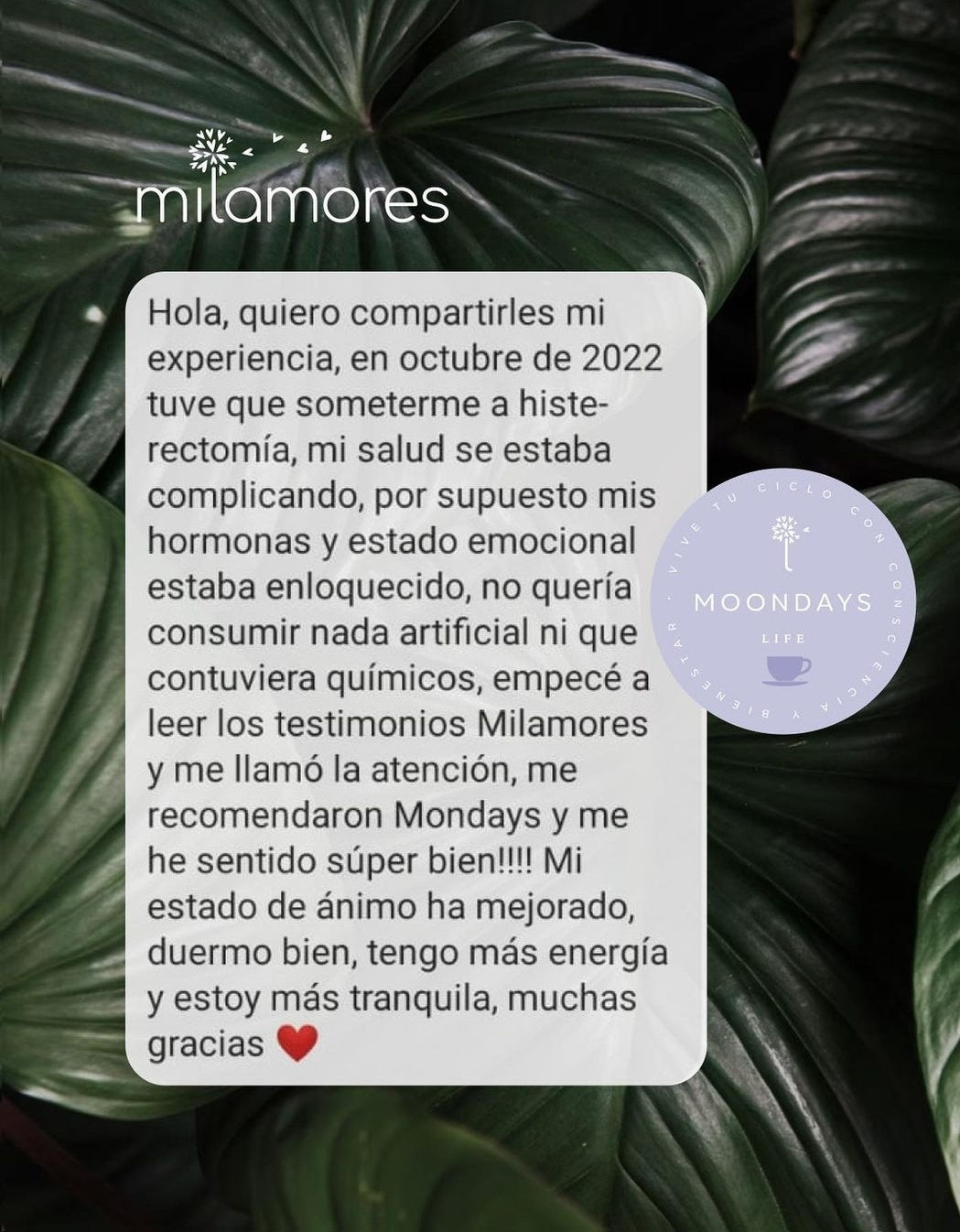 MoonDays