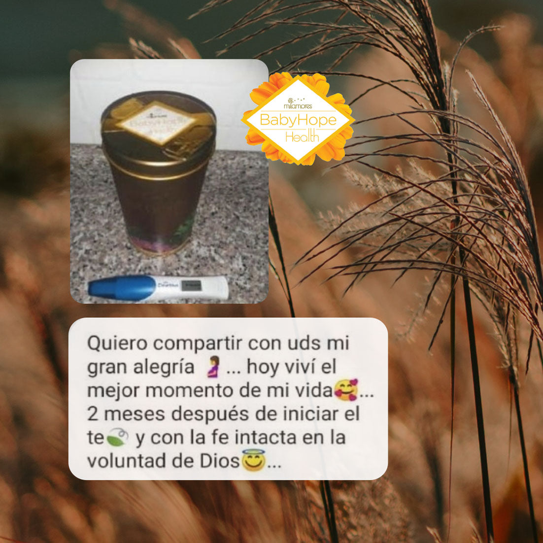 Botiquín Pre-Embarazo perdida de peso